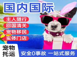 丽江三义机场快运国际宠物托运 【国